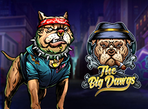 The Big Dawgs